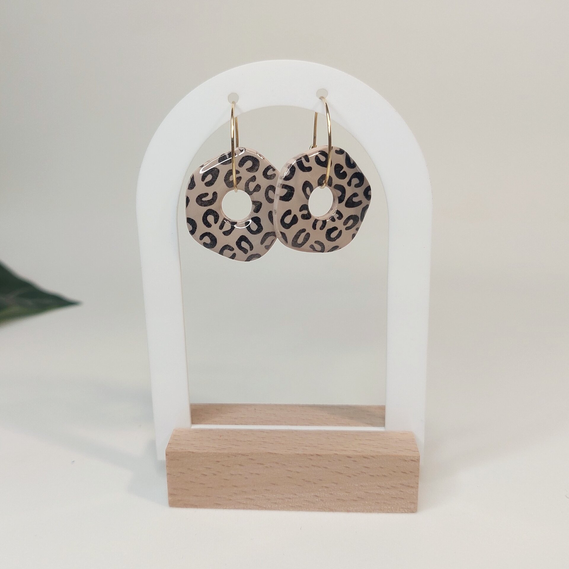 Kore leopard - 3